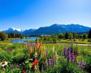 Natur und Parks in Whitehorse, Yukon