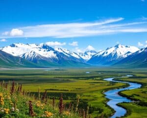 Naturwunder im Denali-Nationalpark, Alaska