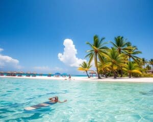 Strände und Abenteuer in Playa del Carmen, Mexiko