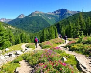 Wandern auf dem Appalachian Trail, USA