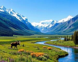 Naturerlebnisse im Denali-Nationalpark, Alaska