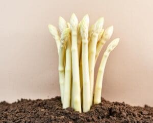 Spargel – gesund, warum?