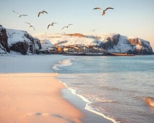 Wie finde ich die schoensten Straende im Winter?