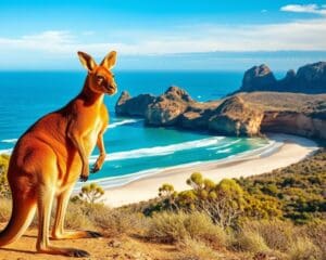 Was macht Australien so faszinierend für Reisende?