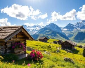 Was begeistert an Alpenhütten im Sommer?