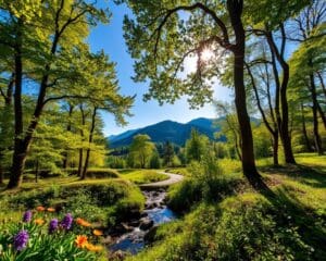 Was macht der Schwarzwald für Naturfans reizvoll?