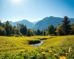 Was macht langfristiges Wohlbefinden aus?