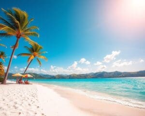 Wie findet man sonnige Ziele im Januar?