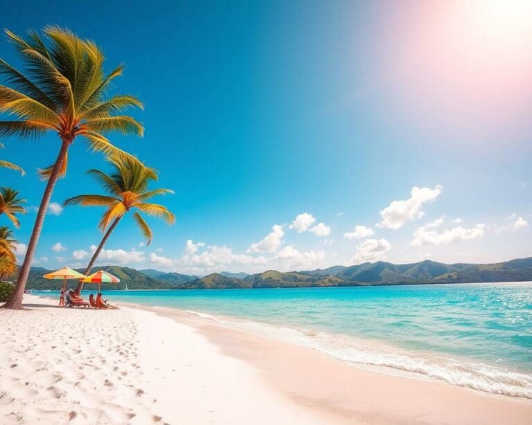 Wie findet man sonnige Ziele im Januar?