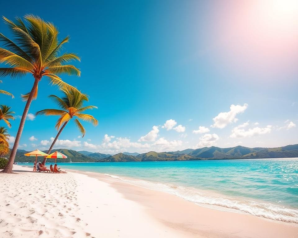 Wie findet man sonnige Ziele im Januar?