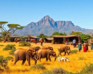 Warum ist Südafrika so vielseitig?